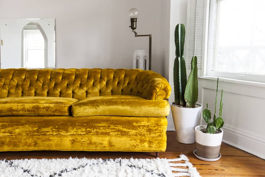 House Tour A Photographer's Vintage Apartment in Denver Apartment